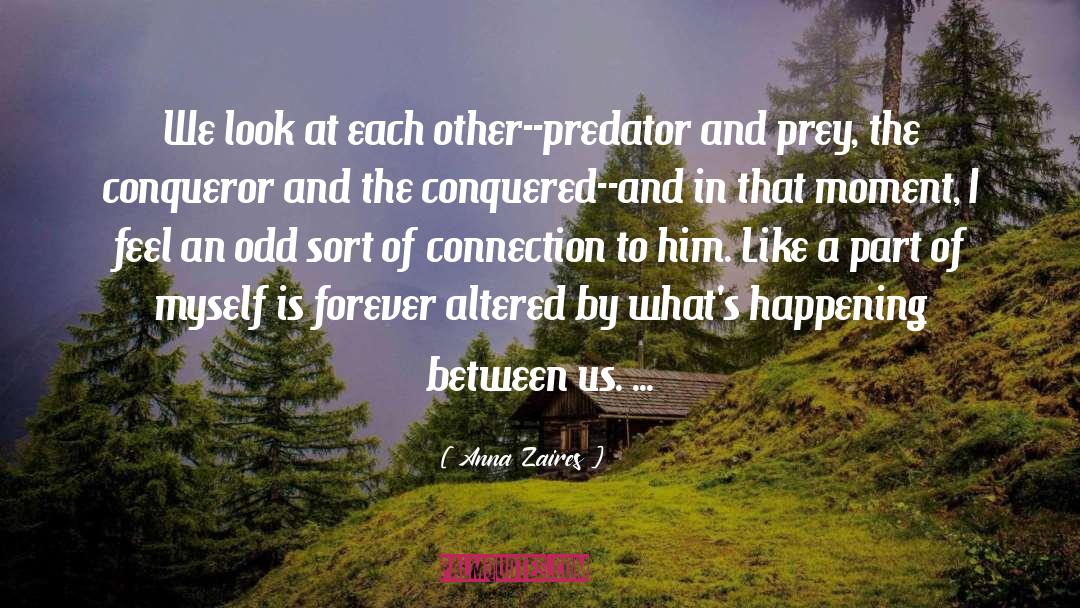 Similars Between Predator Prey quotes by Anna Zaires