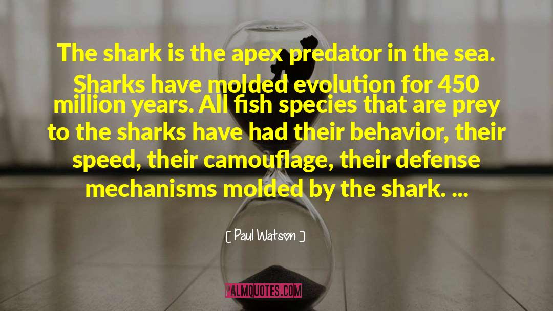 Similars Between Predator Prey quotes by Paul Watson