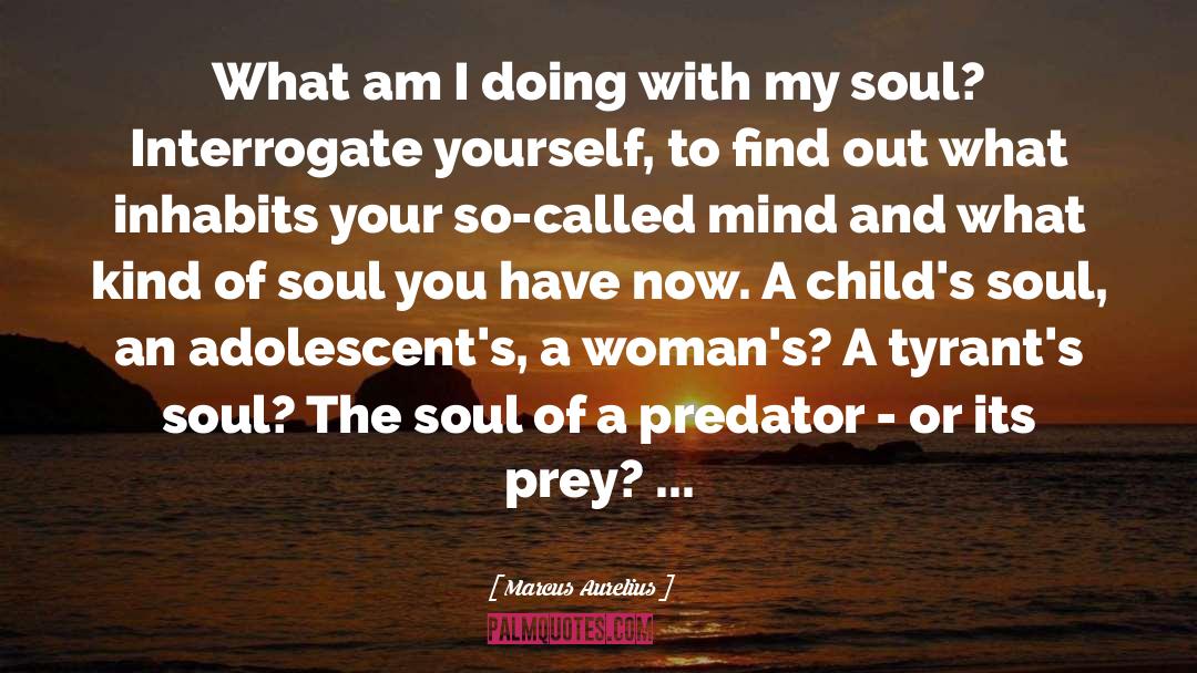 Similars Between Predator Prey quotes by Marcus Aurelius