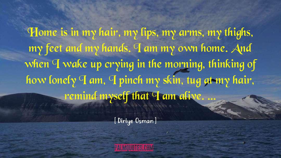 Simile Pinch quotes by Diriye Osman