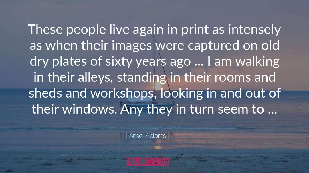 Simmonite Windows quotes by Ansel Adams