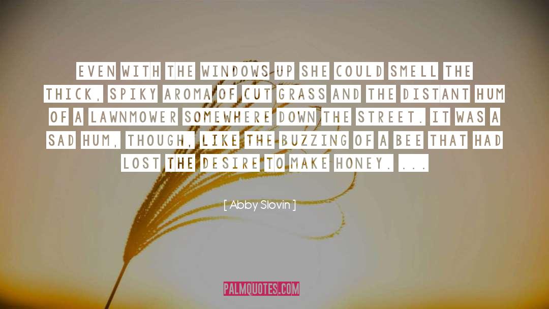 Simmonite Windows quotes by Abby Slovin