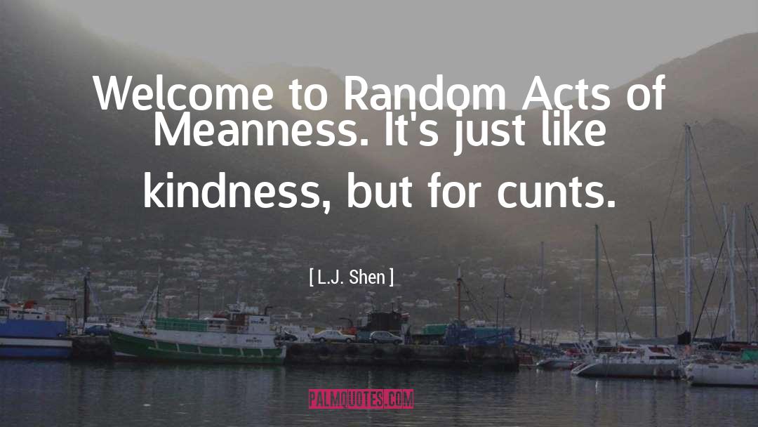 Simple Acts Of Kindness quotes by L.J. Shen