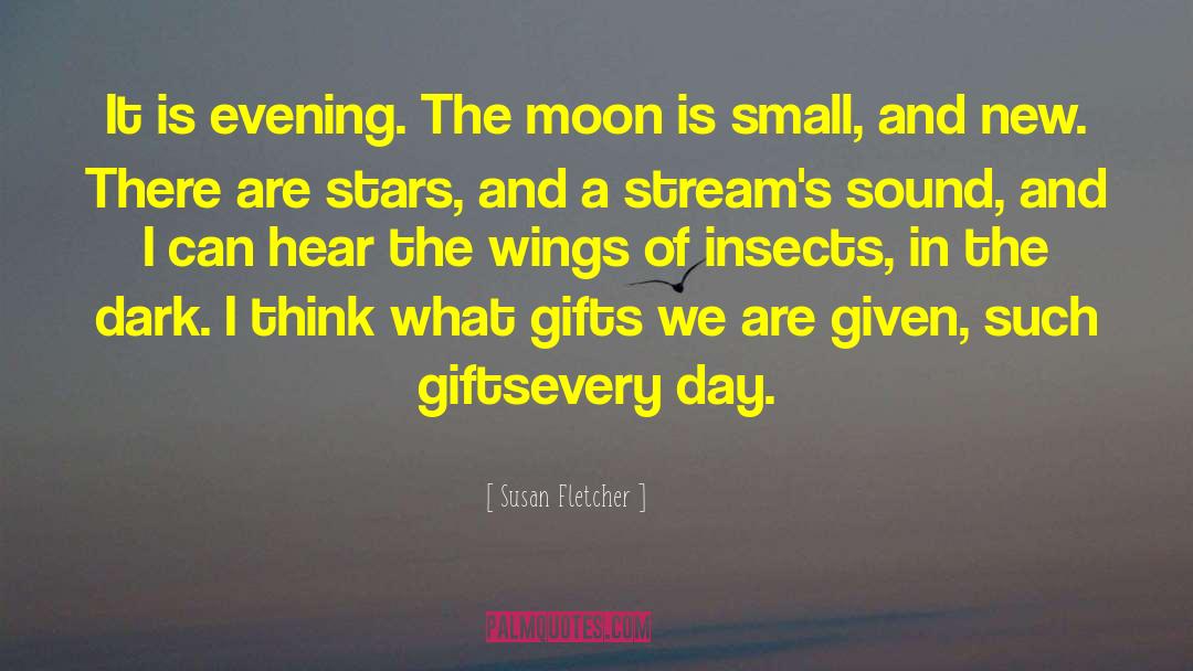Simple Gifts quotes by Susan Fletcher