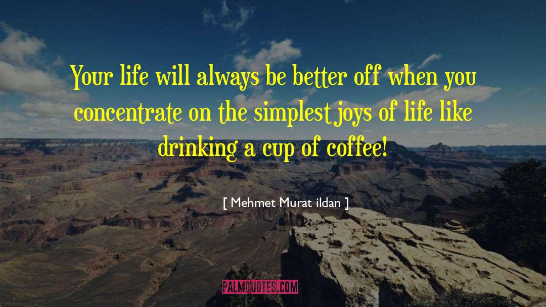 Simple Joys quotes by Mehmet Murat Ildan