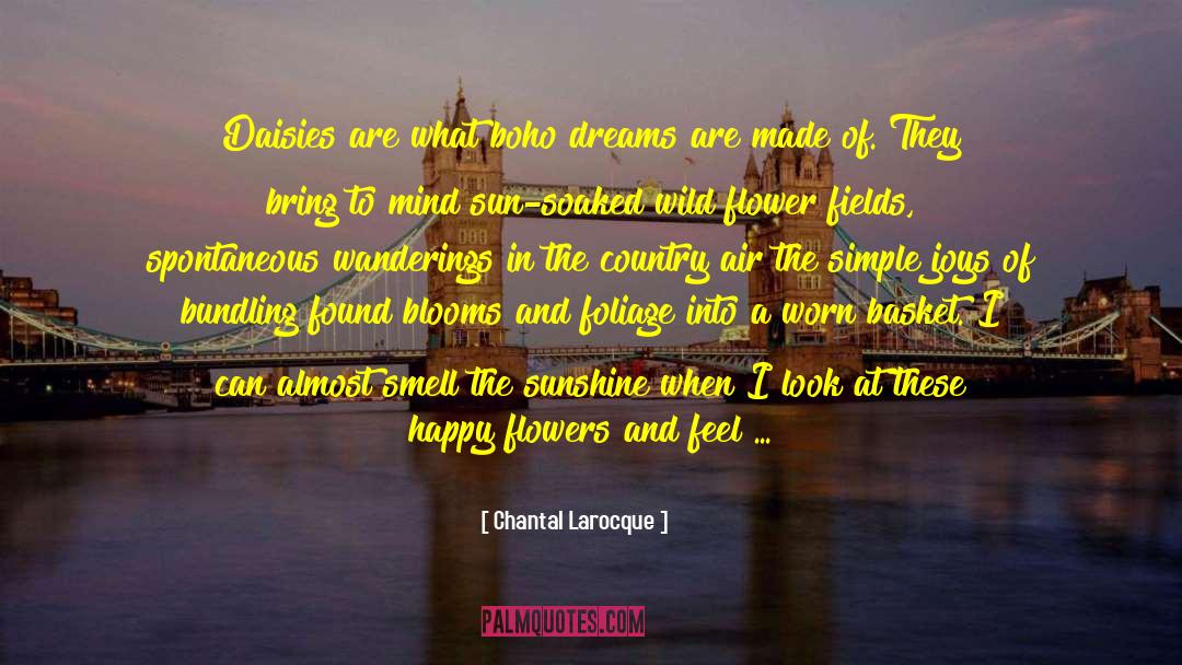 Simple Joys quotes by Chantal Larocque