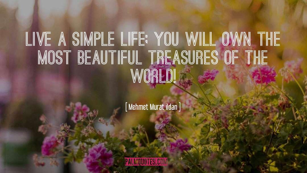 Simple Life quotes by Mehmet Murat Ildan