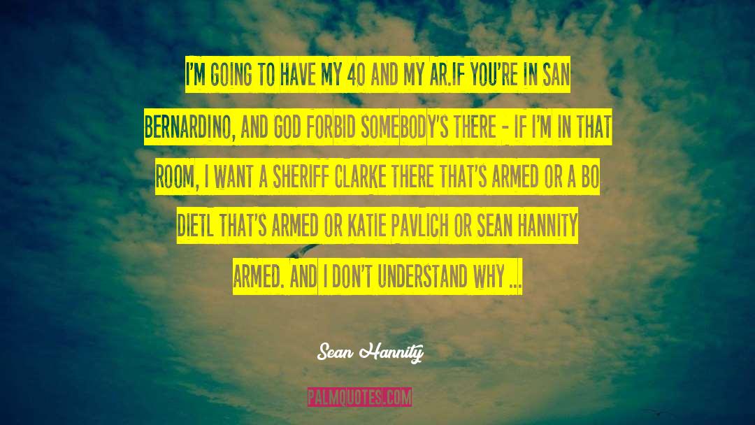 Simple Plan quotes by Sean Hannity