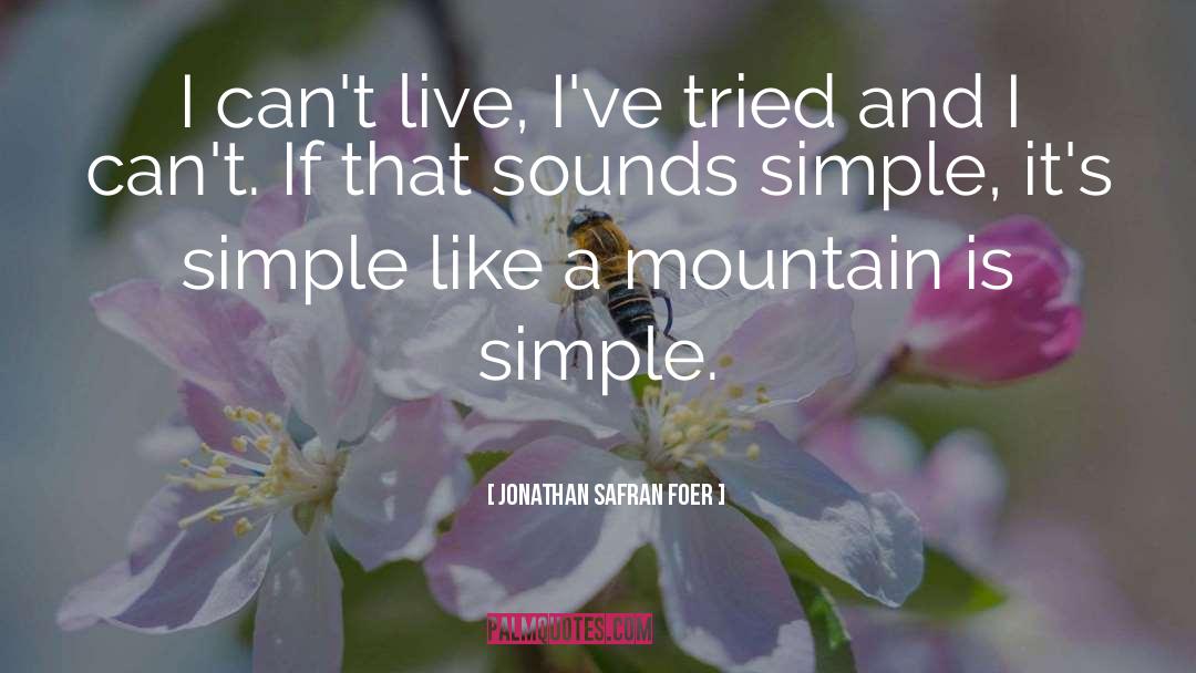 Simple Reminder quotes by Jonathan Safran Foer