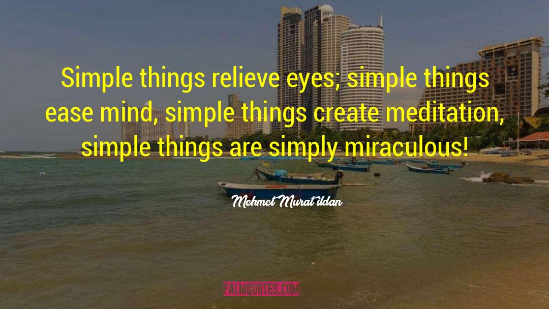 Simple Things In Life quotes by Mehmet Murat Ildan