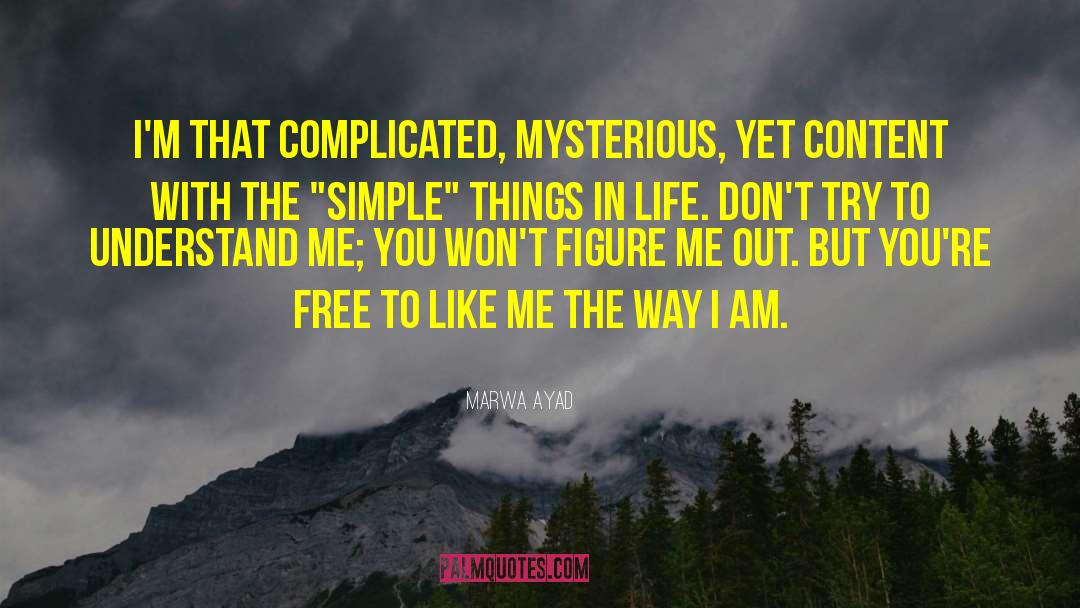 Simple Things In Life quotes by Marwa Ayad