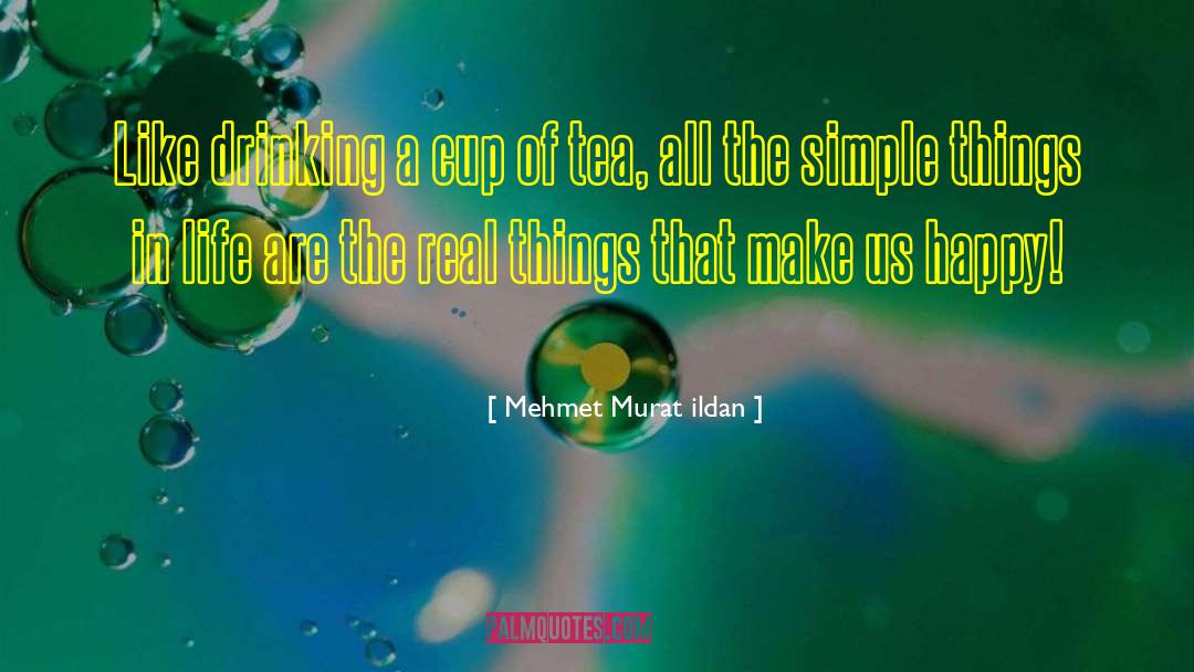 Simple Things In Life quotes by Mehmet Murat Ildan