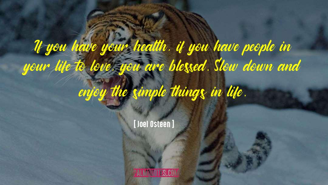 Simple Things In Life quotes by Joel Osteen