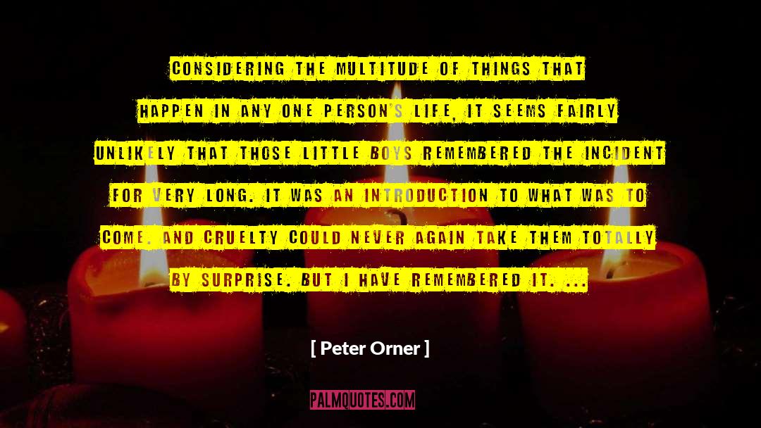 Simple Things Of Life quotes by Peter Orner