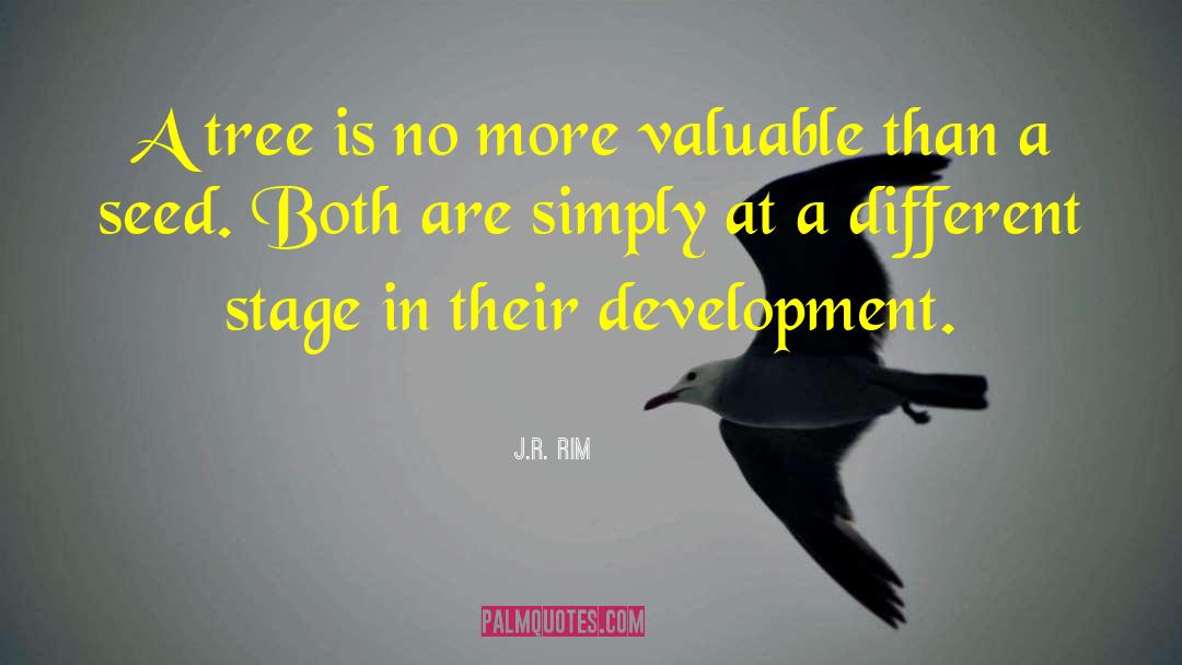 Simple Thought quotes by J.R. Rim