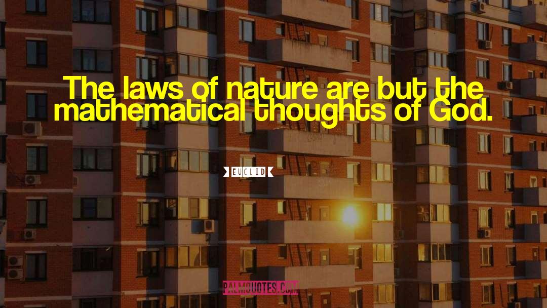 Sin Nature quotes by Euclid