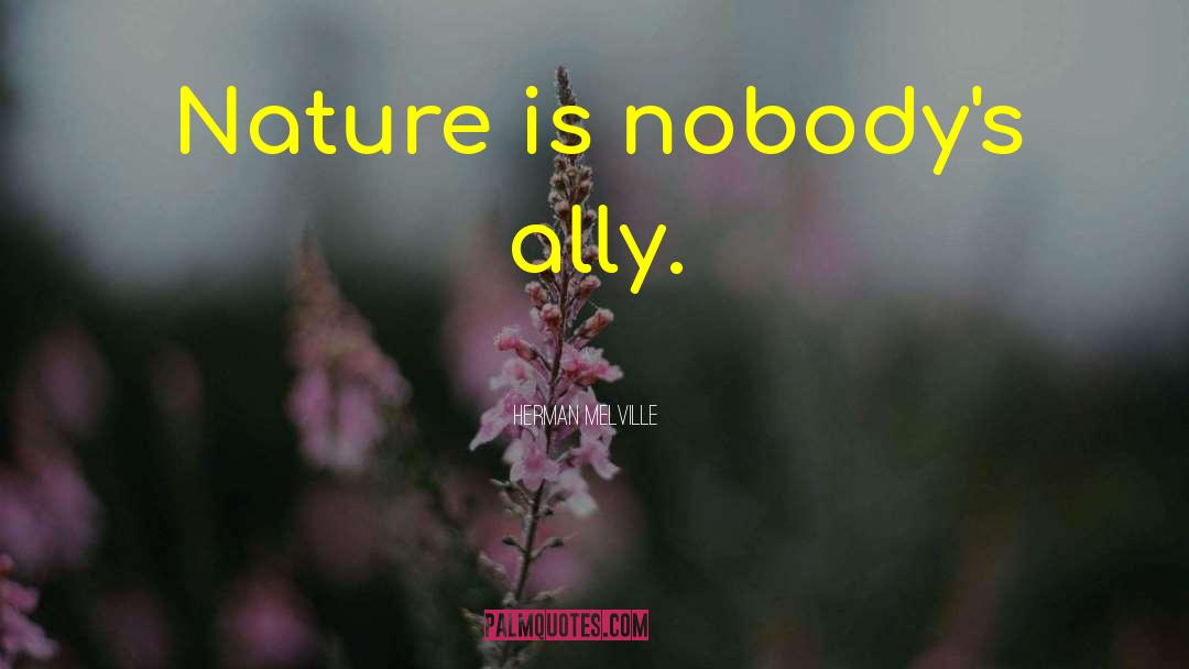 Sin Nature quotes by Herman Melville