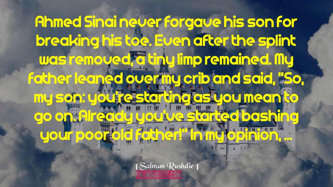 Sinai quotes by Salman Rushdie