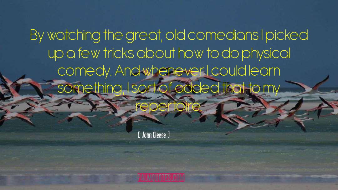 Sinbad Comedian quotes by John Cleese