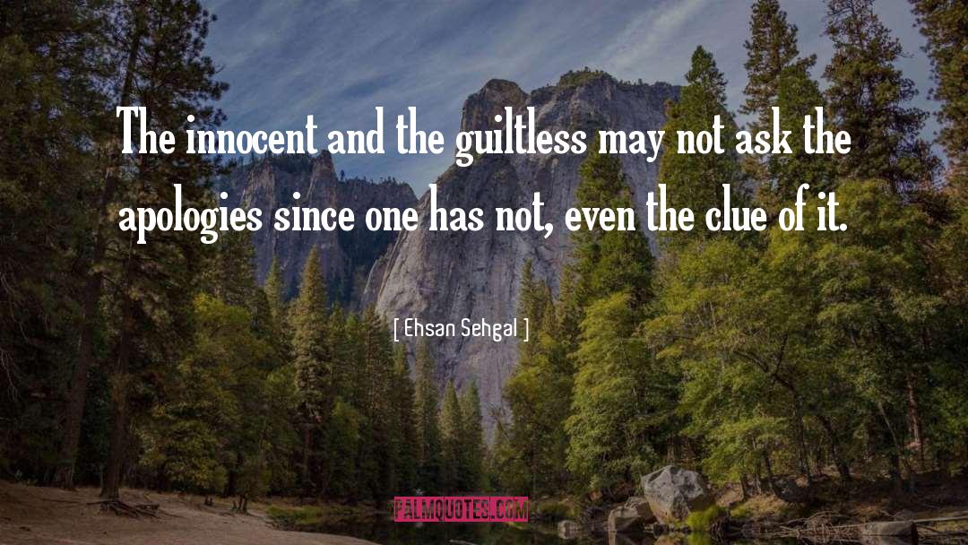 Sincere Apologies quotes by Ehsan Sehgal