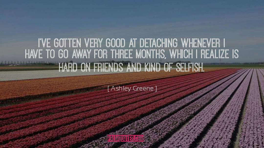 Sincere Friends quotes by Ashley Greene