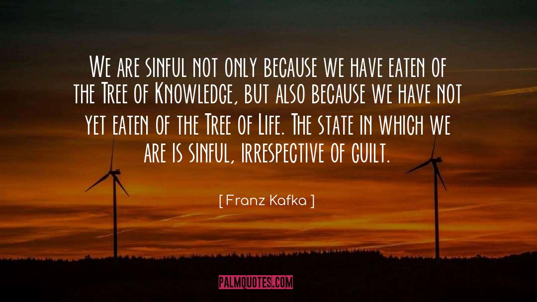 Sinful Life quotes by Franz Kafka