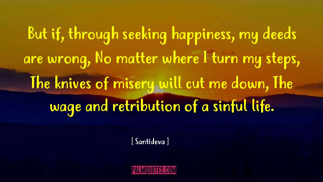 Sinful Life quotes by Santideva