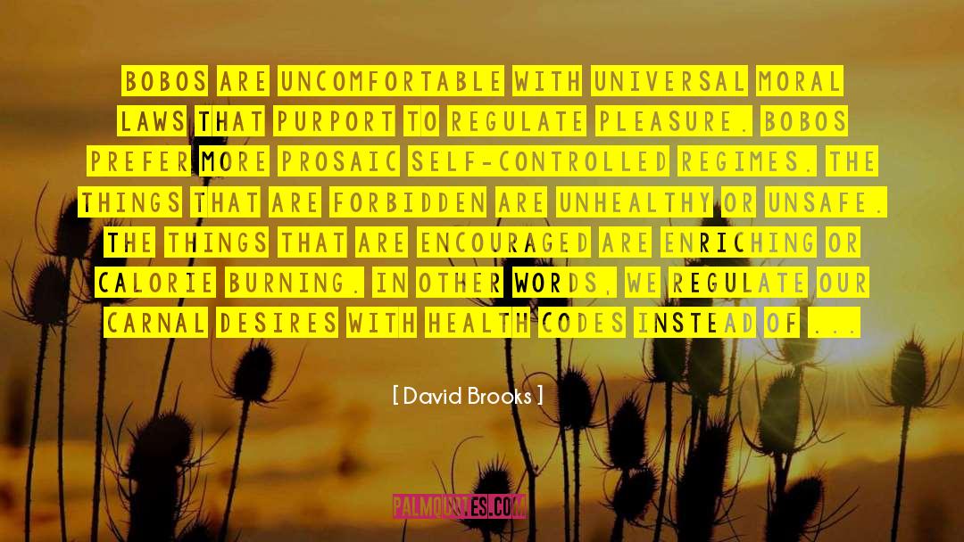 Sinful Pleasure quotes by David Brooks