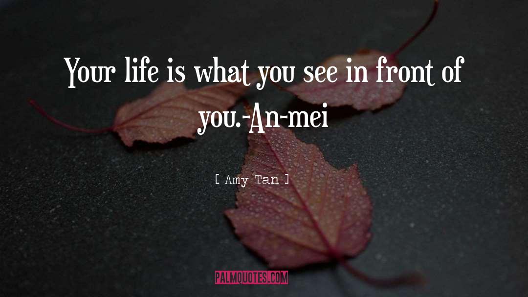 Sing Your Life quotes by Amy Tan