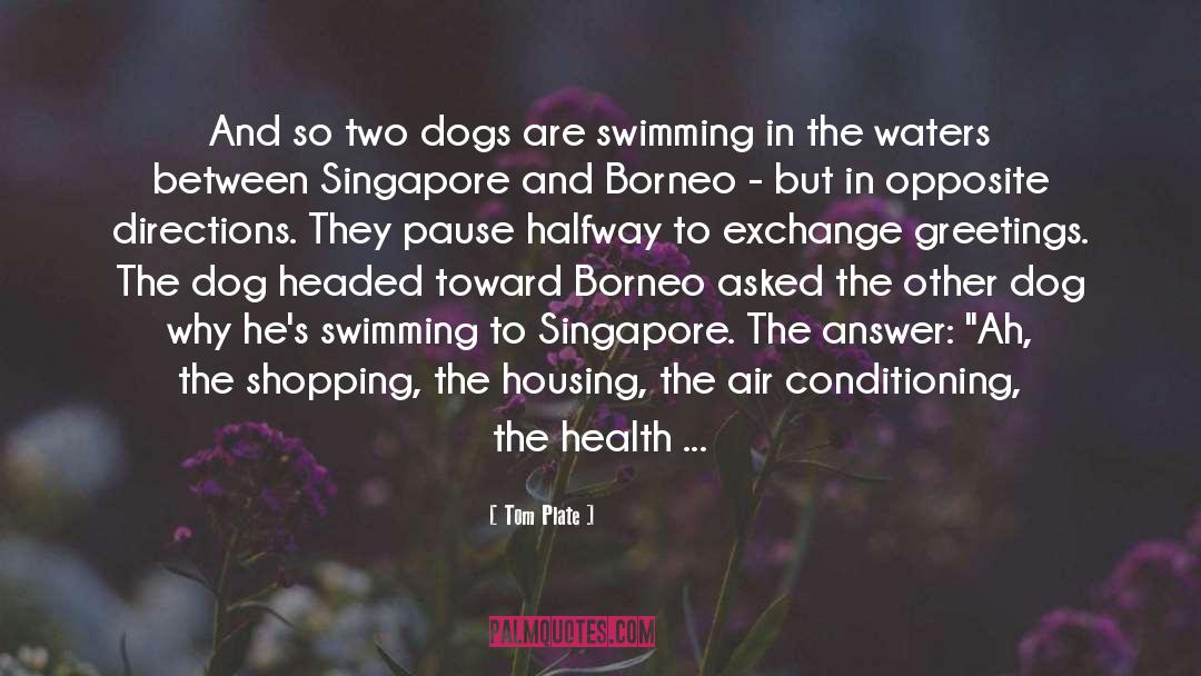 Singapore quotes by Tom Plate