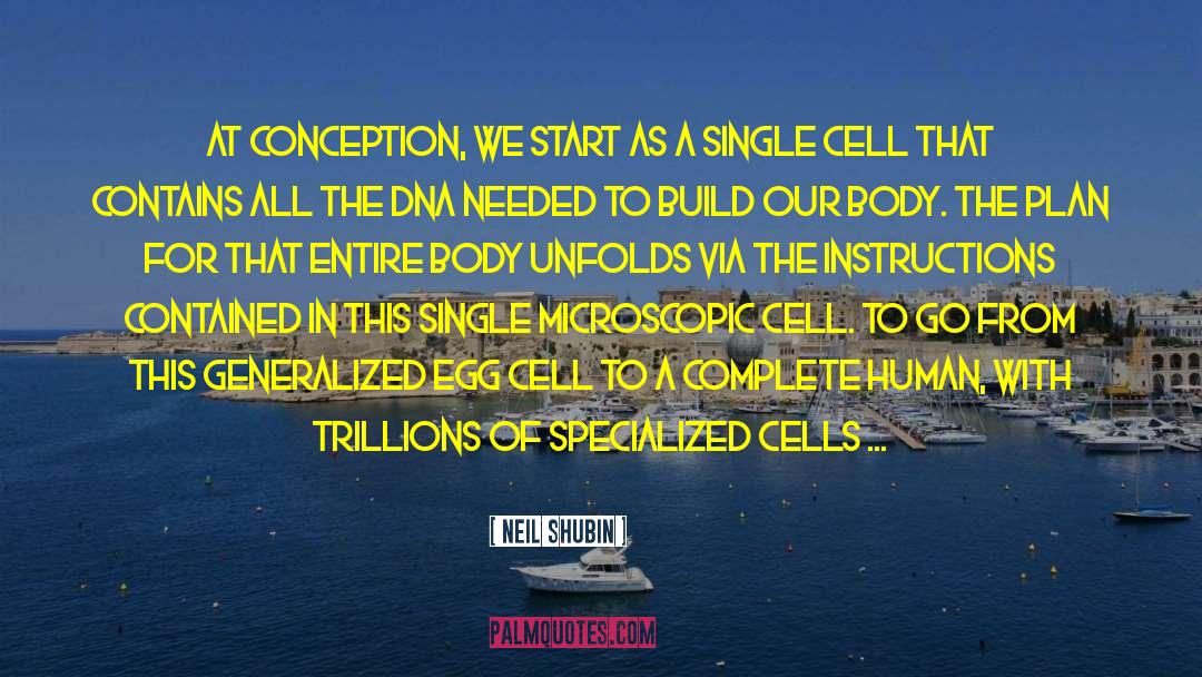 Single Cell quotes by Neil Shubin