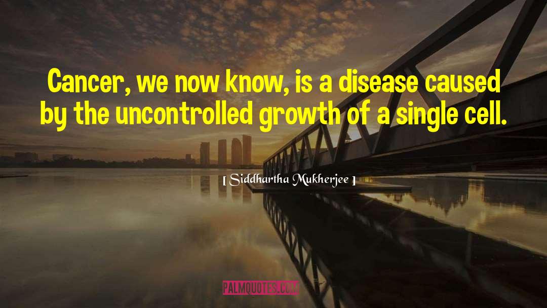 Single Cell quotes by Siddhartha Mukherjee