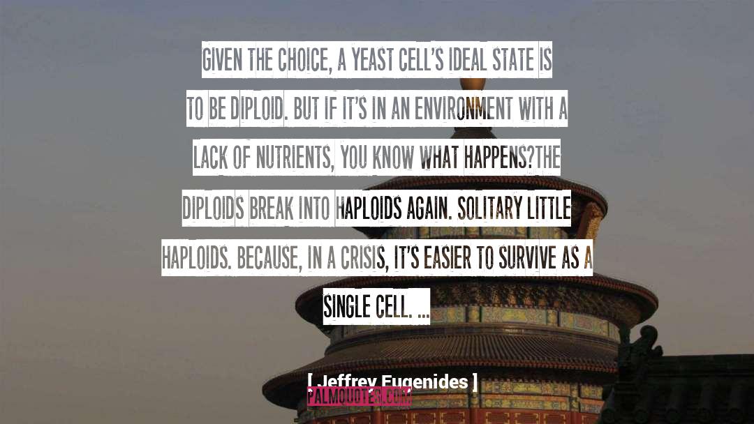Single Cell quotes by Jeffrey Eugenides
