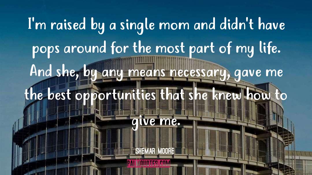 Single Mom quotes by Shemar Moore