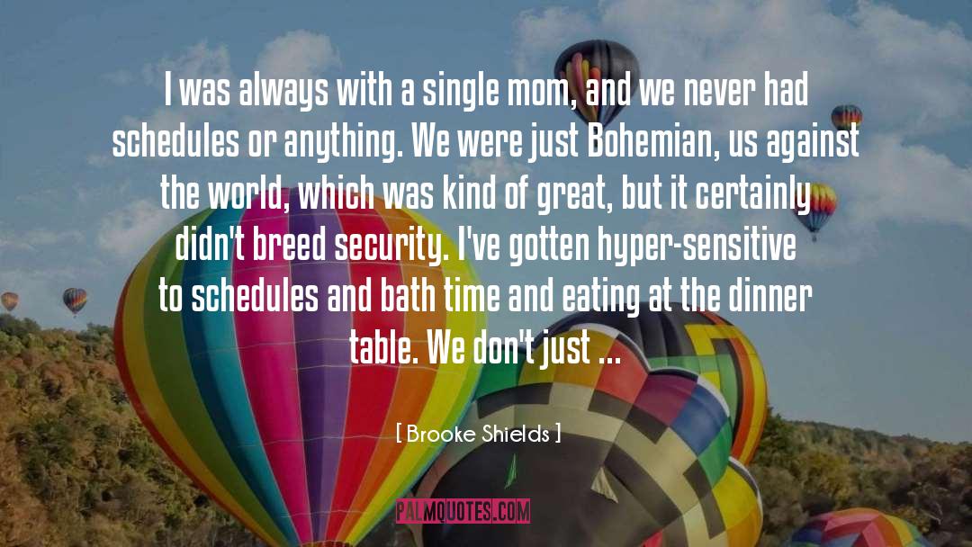 Single Mom quotes by Brooke Shields