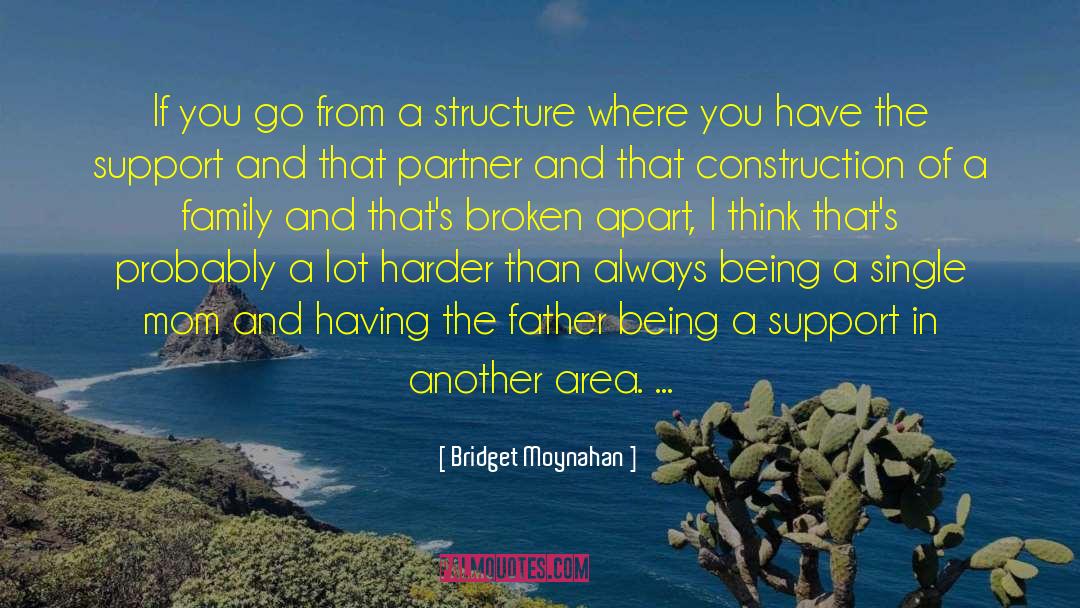 Single Mom quotes by Bridget Moynahan
