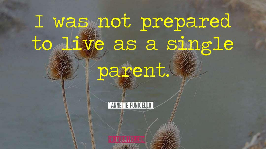 Single Parent quotes by Annette Funicello