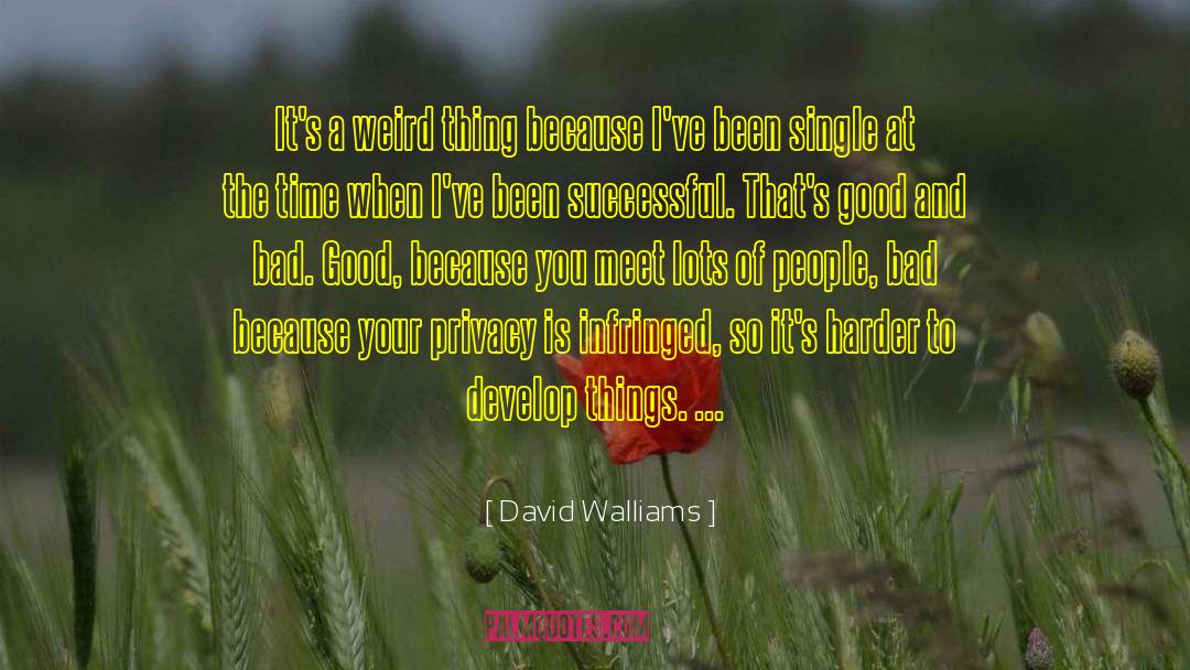 Single Parenting quotes by David Walliams