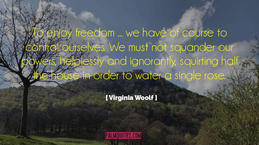 Single Rose quotes by Virginia Woolf