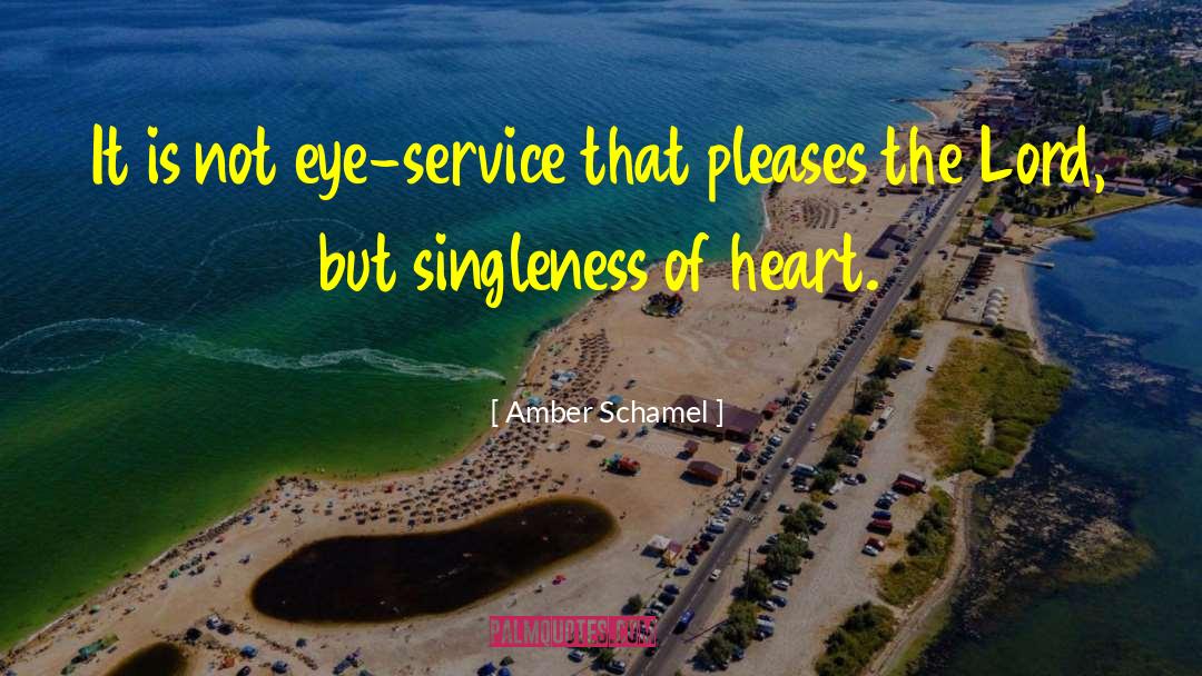 Singleness quotes by Amber Schamel