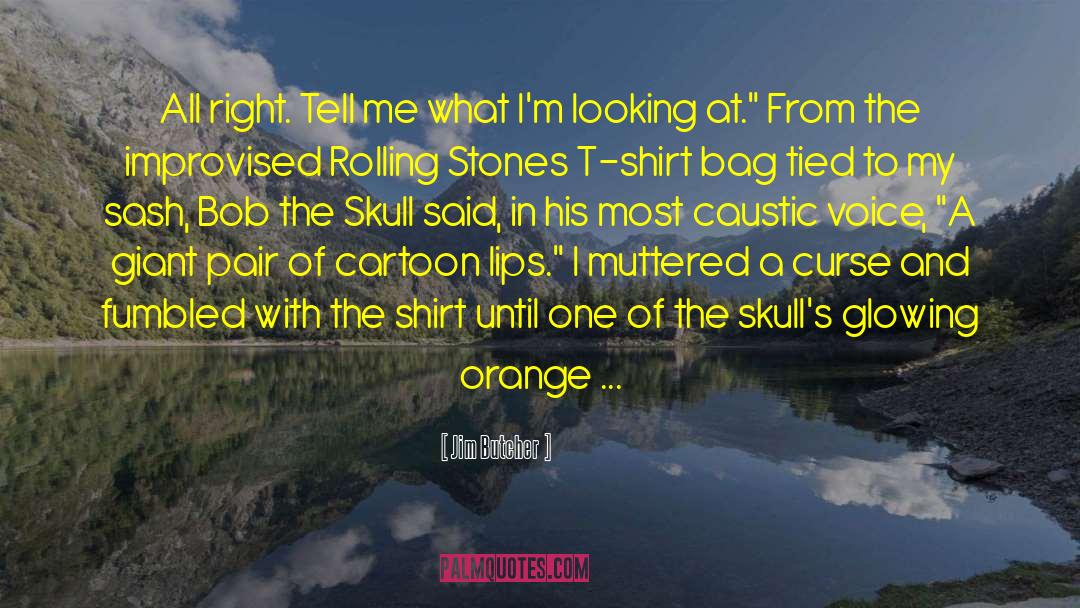 Siniscalchi Shirts quotes by Jim Butcher