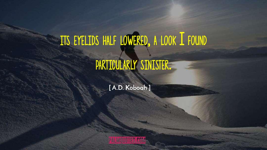 Sinister quotes by A.D. Koboah