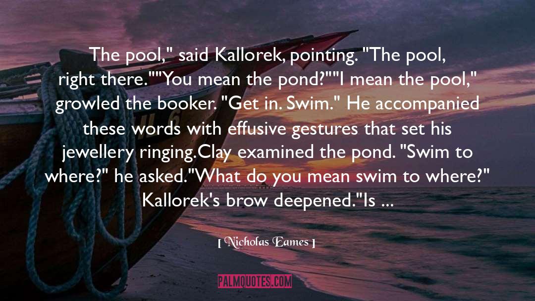 Sink Or Swim quotes by Nicholas Eames