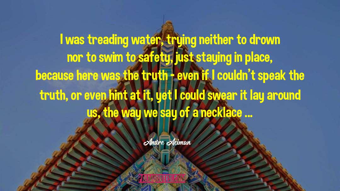 Sink Or Swim quotes by Andre Aciman