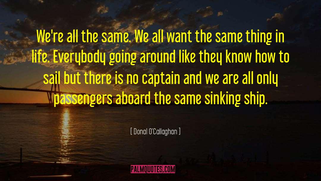 Sinking Ship quotes by Donal O'Callaghan