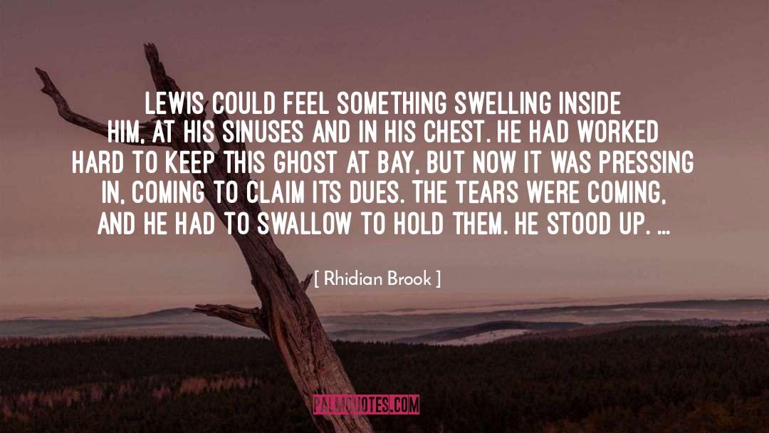 Sinuses quotes by Rhidian Brook