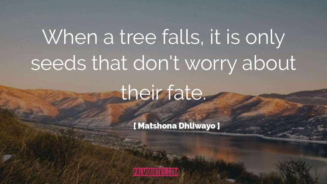 Sipus Tree quotes by Matshona Dhliwayo
