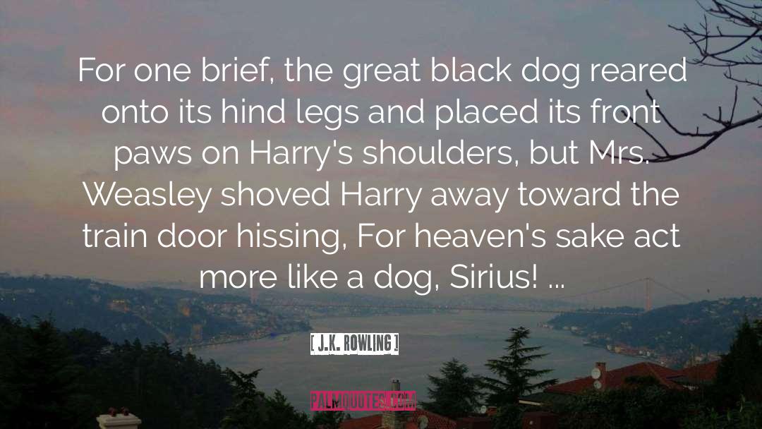 Sirius Black quotes by J.K. Rowling