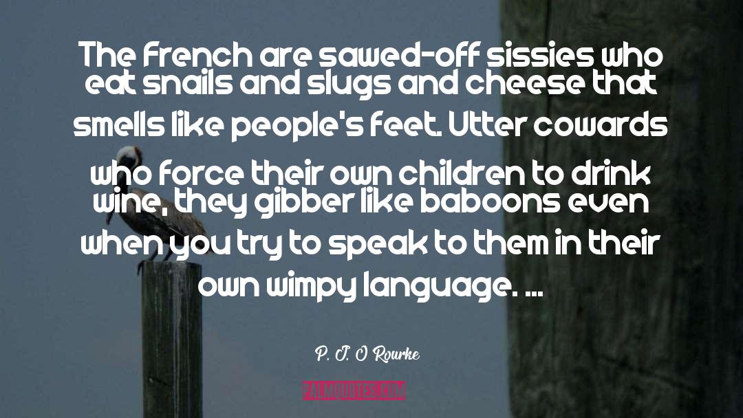 Sissy quotes by P. J. O'Rourke