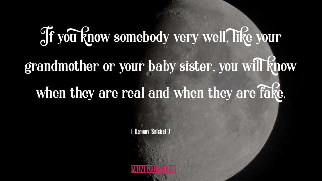 Sister quotes by Lemony Snicket